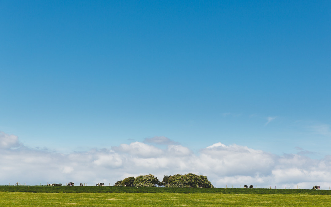 Best of 2015 | Wedding photographer review