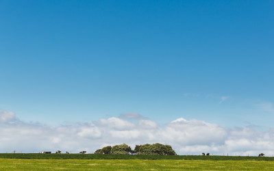 Best of 2015 | Wedding photographer review