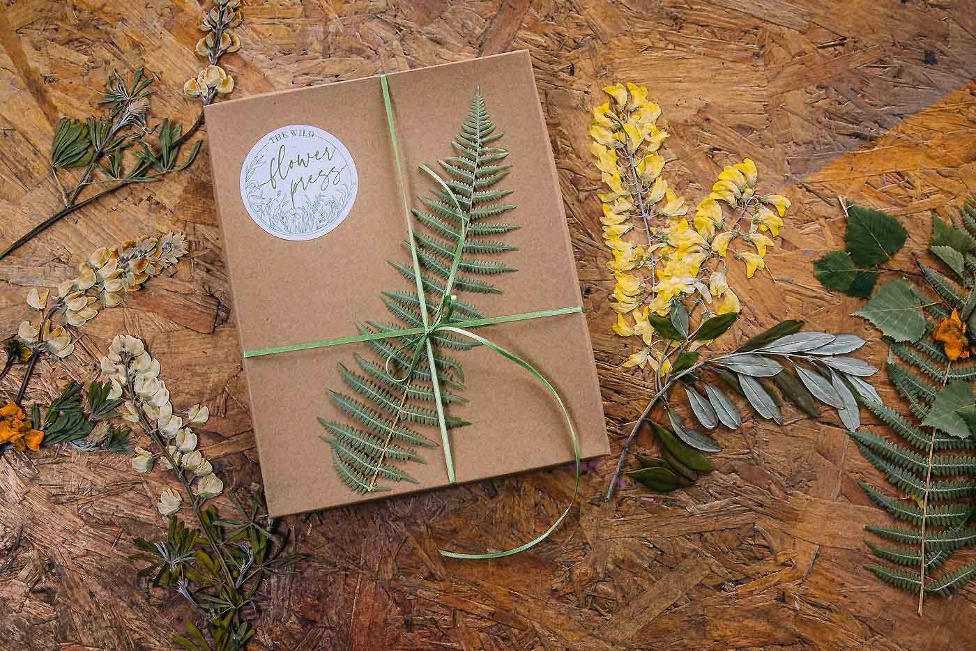 Product photography for branding of small business