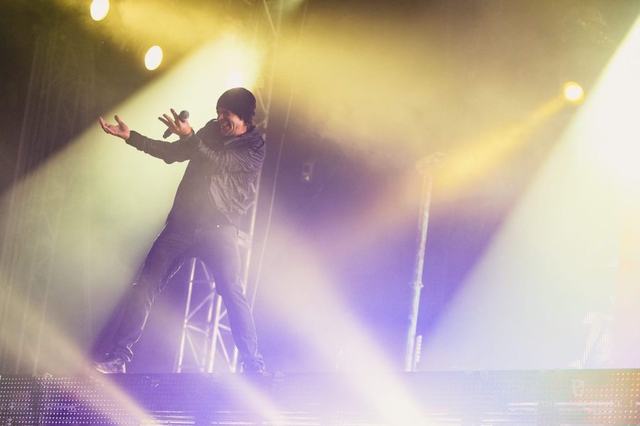 Festival crowd artist photo