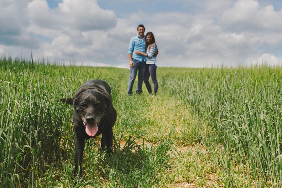 Couple and their dog during an outdoor pre wedding shoot in the Dorset countryside