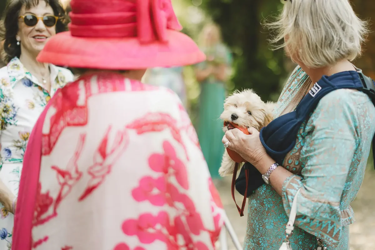 Wedding guest in turquoise dress carrying a fluffy puppy in a sling outside the church with colourfully dressed guests