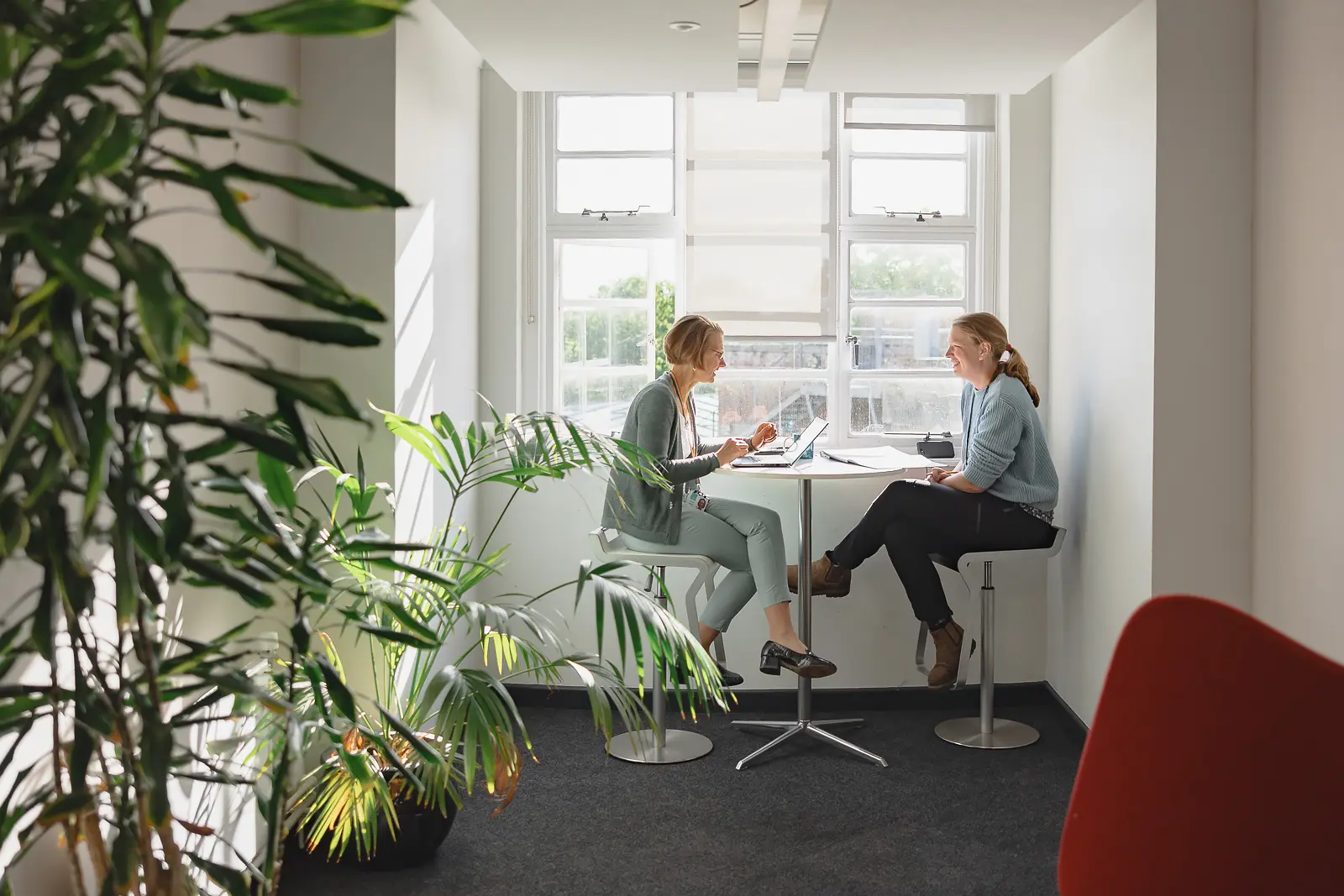 Two women colleagues in relaxed conversation at a high table by a window in a bright modern Dorset office, one with a laptop